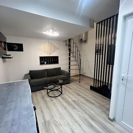 Maison Appartement Triplex Avec Jacuzzi Et Sauna Saint-Etienne  Kültér fotó